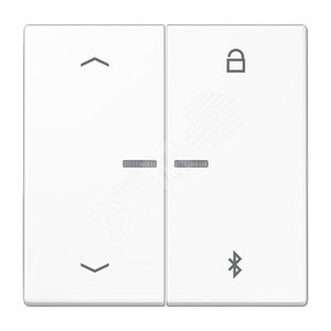 Таймер универсальный Bluetooth со  стрелками  для LB вставки  жалюзи  /  освещение . Серия LS990  Материал- дуропласт  Цвет- белый (LS1751PBTWW) - JUNG