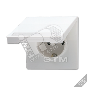 Розетка штепсельная SCHUKO 16A 250V с откидной крышкой и полем для надписи слоновая кость - JUNG