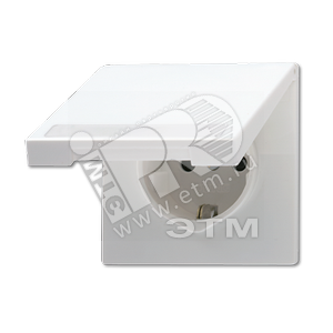 Розетка штепсельная SCHUKO 16A 250V с откидной крышкой и полем для надписи белая (LS520NAKLWW) - JUNG