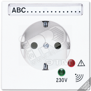 Розетка штепсельная SCHUKO 16А 250V с защитой от перенапряжения и полем для надписи - JUNG