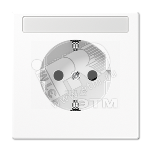 Штепсельная розетка SCHUKO 16A, 250V~ с полем для надписи  белая