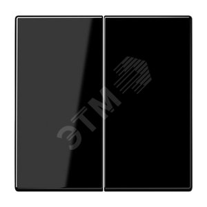 Клавиша 2-я для выключателей и кнопок  без подсветки. Серия LS990  Материал- дуропласт  Цвет- черный