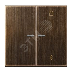 Таймер универсальный Bluetooth для LB вставки  жалюзи  /  освещение .   Цвет- античная латунь - JUNG