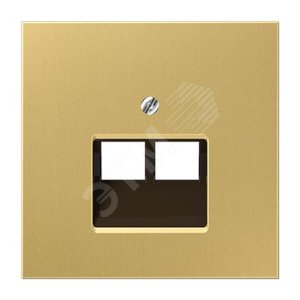 Накладка для 2-ой телефонной/компютерной розетки  IAE/UAE (1X8-пол.)  Серия LS990  Материал- металл  Цвет- классическая латунь