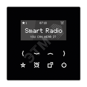 Радиоприемник RADLS908SW