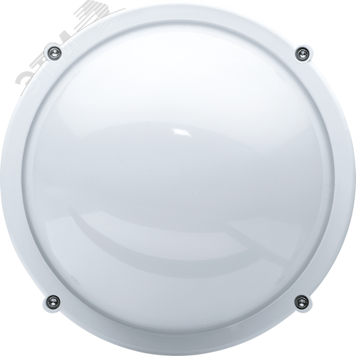 Светильник светодиодный ДБП-8w круглый 4000K 560 Лм IP65 металлический белый 2