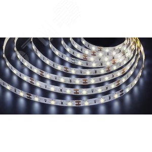 Лента светодиодная 4.8Вт/м 12В 6000К IP20 60LED/м NLS-3528 5м - Navigator Group