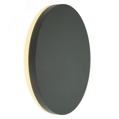 Светильник светодиодный уличный ДБУ-12w 4000К IP54 круглый черный 2