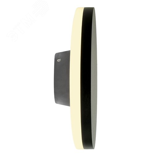 Светильник светодиодный уличный ДБУ-12w 4000К IP54 круглый черный 3