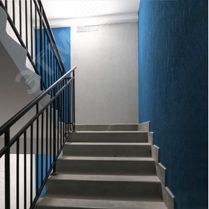 Светильник аварийный светодиодный LEDх30 5ч постоянный IP20 4