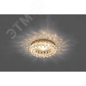 Светильник ИВО-50w 12/220в G5.3 золото с прозрачным стеклом (CD4141 зол/прозр.) 2