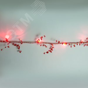 CL101 гирлянда "Гранат" 20 LED (красный), 2м + 1,5м, IP20 | 26931 | FERON 2