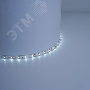 Лента светодиодная 4.8Вт/м 12В 6500К IP20 60LED/м LS603 2
