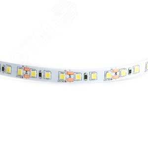 Лента светодиодная 9.6Вт/м 12В 6500К IP20 120LED/м LS612 5