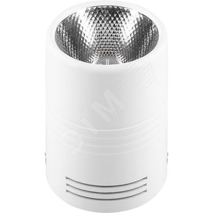 Светильник накладной светодиодный спот неповоротный AL518, 15W, 1200Lm, 4000K, 30 градусов, белый | 29869 | FERON