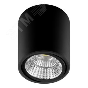 Светильник светодиодный ДПО-10w 4000К 800Лм поворотный черный (AL516)