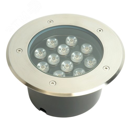 Светильник светодиодный тротуарный ДВУ-12w 6400К IP67 круг 2