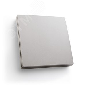 Кнопка-выключатель беспроводной 230V 500W одноклавишный, серебро - Feron