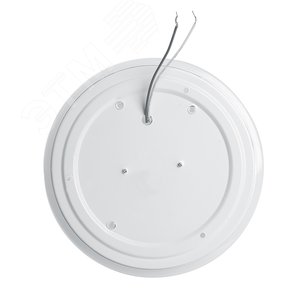 Светильник светодиодный ДБО-20w 6400К круглый белый c узором (AL772 BOTANIC) - фото 2